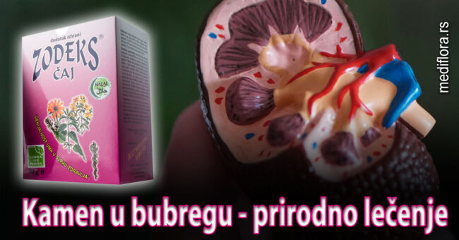 Kamen u bubregu - prirodno lečenje