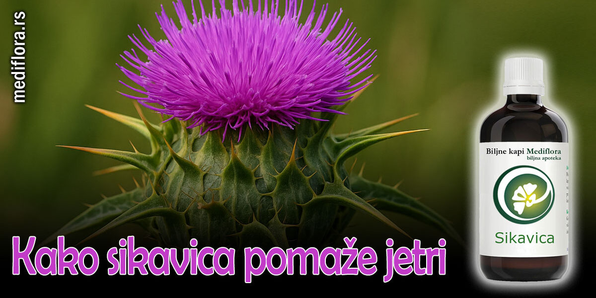 Kako sikavica pomaže jetri