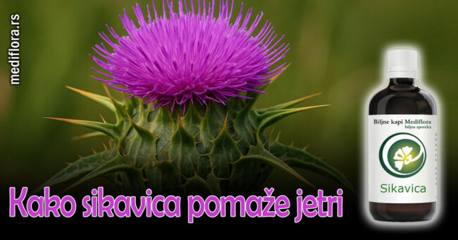 Kako sikavica pomaže jetri