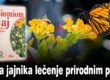 Upala jajnika lečenje prirodnim putem