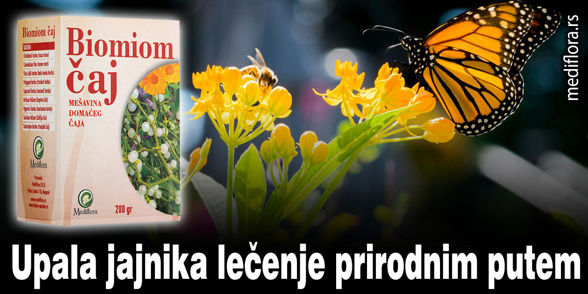 Upala-jajnika-lečenje-prirodnim-putem Upala jajnika lečenje prirodnim putem