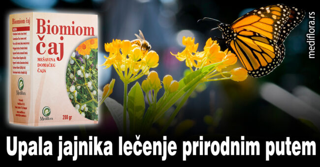 Upala jajnika lečenje prirodnim putem