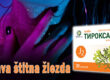 Zdrava štitna žlezda
