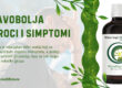 Glavobolja