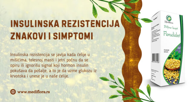 Insulinska rezistencija