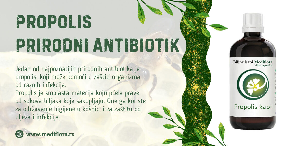 Propolis-–-prirodni-antibiotik