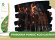 Prirodna pomoć kod gastritisa