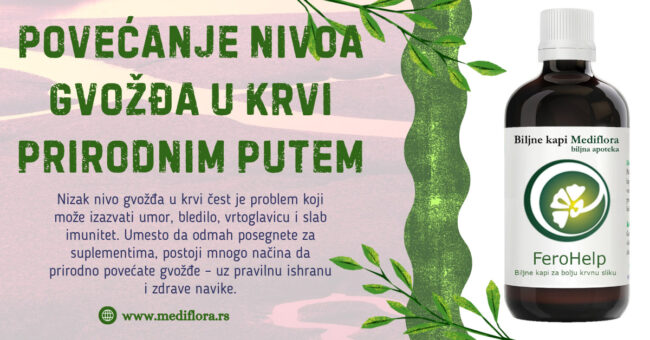 Povećanje-nivoa-gvožđa Povećanje nivoa gvožđa
