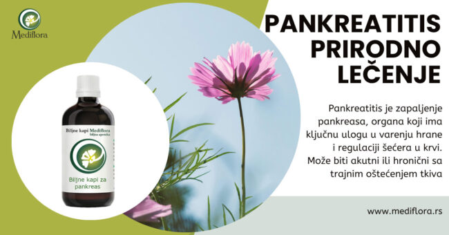 Prirodni-lek-za-pankreatitis Prirodni lek za pankreatitis