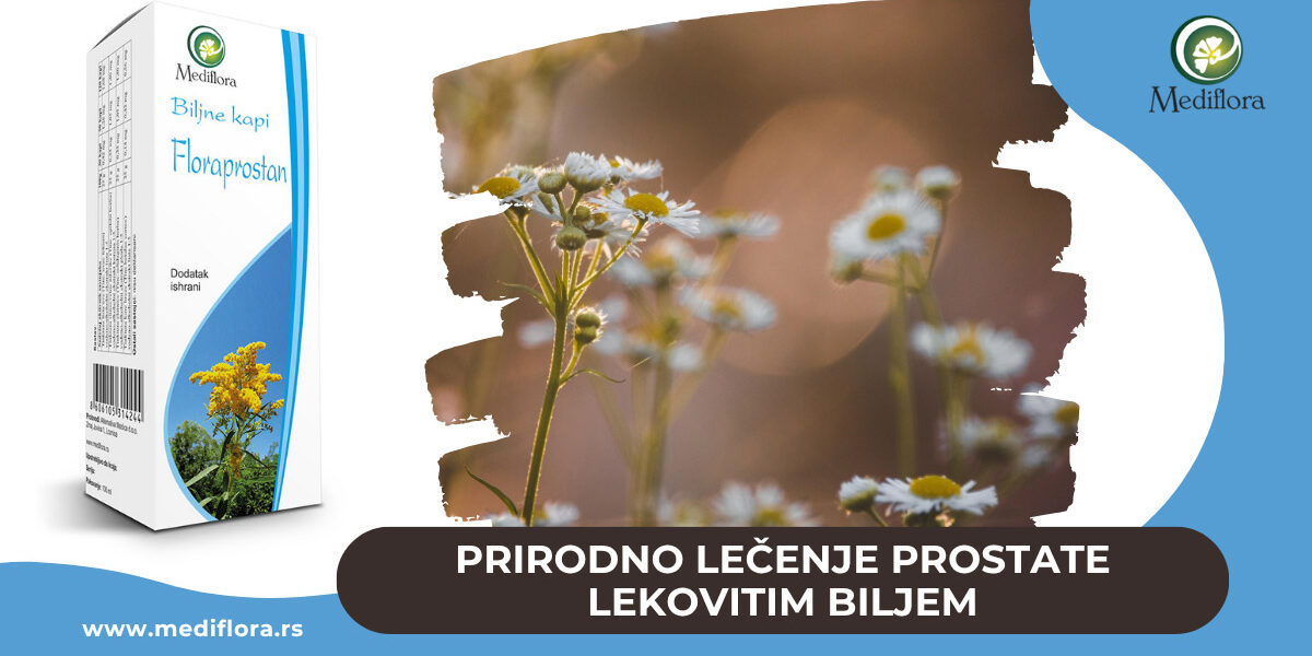 Prirodno lečenje prostate lekovitim biljem