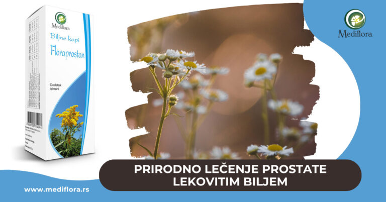 Prirodno-lečenje-prostate-lekovitim-biljem Prirodno lečenje prostate lekovitim biljem