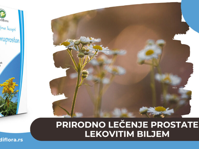 Prirodno lečenje prostate lekovitim biljem