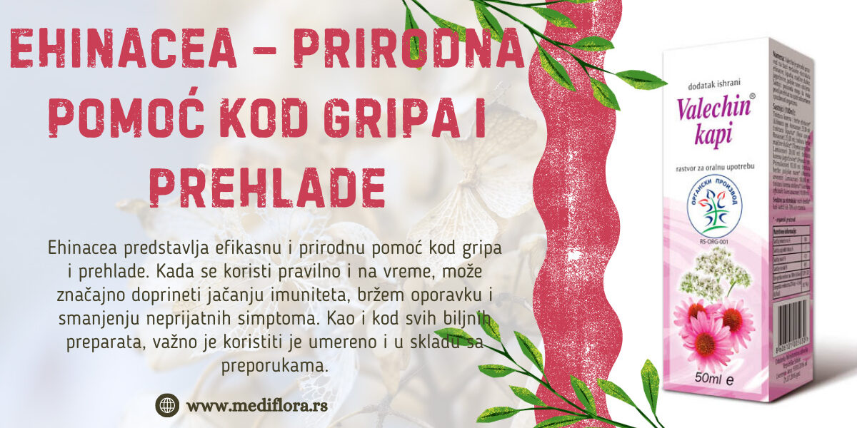 ehinacea kod gripa i prehlade