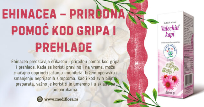 ehinacea kod gripa i prehlade