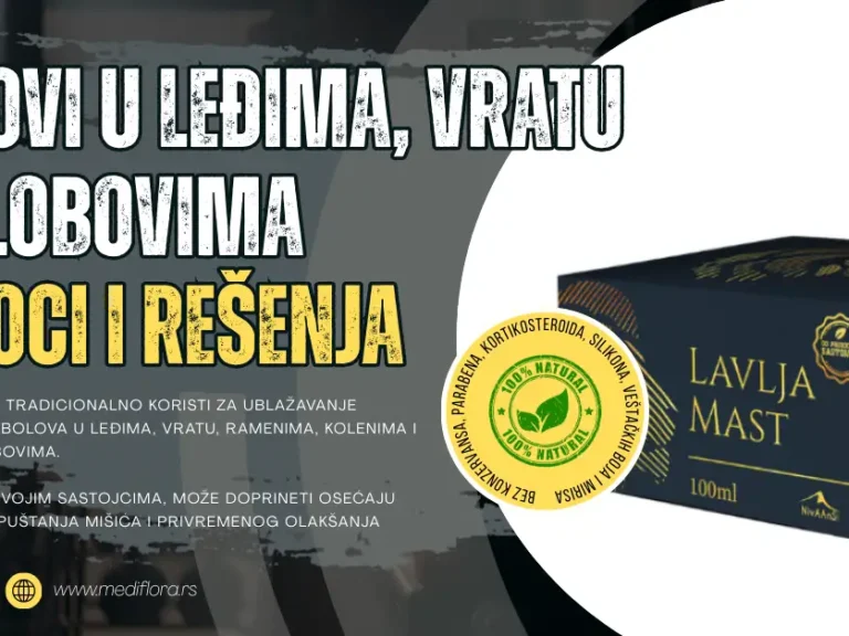 Bolovi u leđima Bolovi u leđima