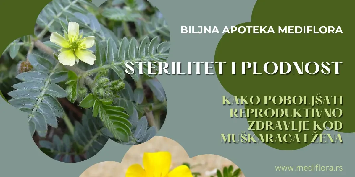 Sterilitet i plodnost