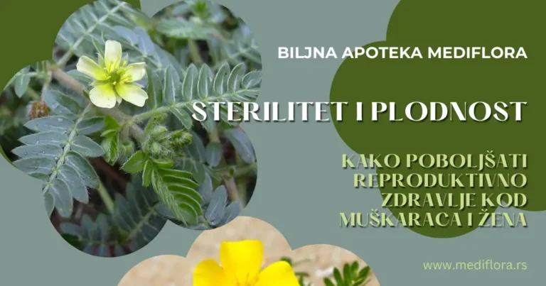 Sterilitet i plodnost