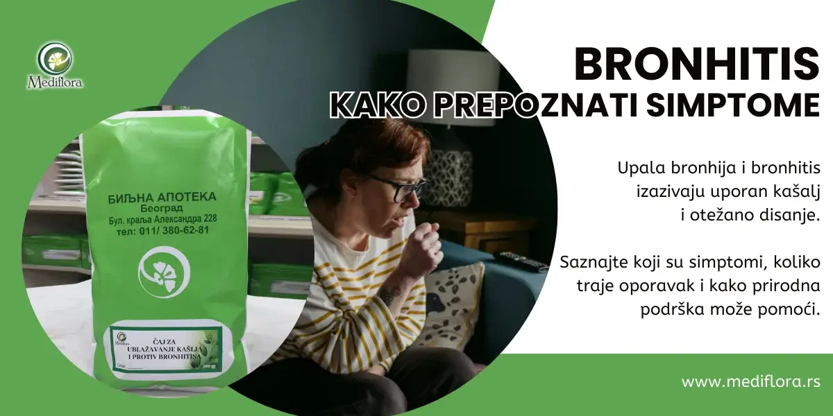 Upala bronhija (bronhitis) Upala bronhija (bronhitis)