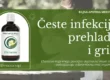 Česte infekcije i oslabljen imunitet – kako Ehinacea može pomoći?