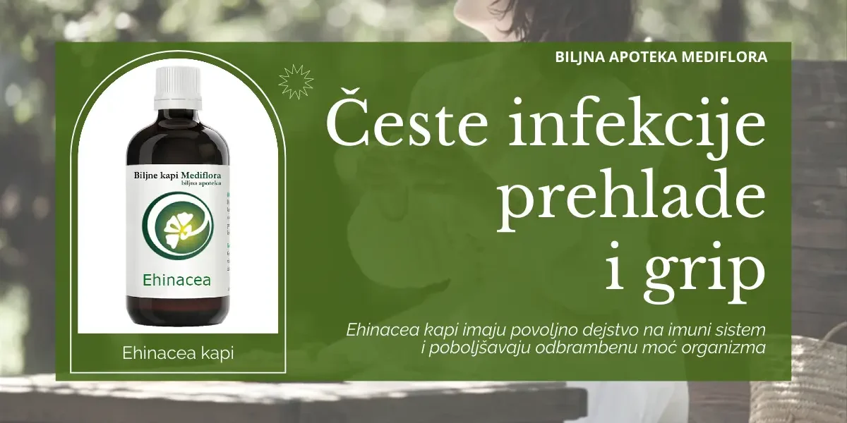 Česte infekcije i oslabljen imunitet – kako Ehinacea može pomoći?