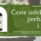 Česte infekcije i oslabljen imunitet – kako Ehinacea može pomoći?