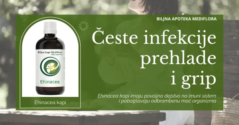 Česte infekcije i oslabljen imunitet – kako Ehinacea može pomoći?