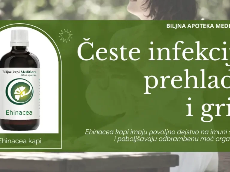 Česte infekcije i oslabljen imunitet – kako Ehinacea može pomoći?