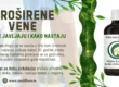 Proširene vene - kada se javljaju i kako nastaju