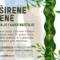 Proširene vene - kada se javljaju i kako nastaju