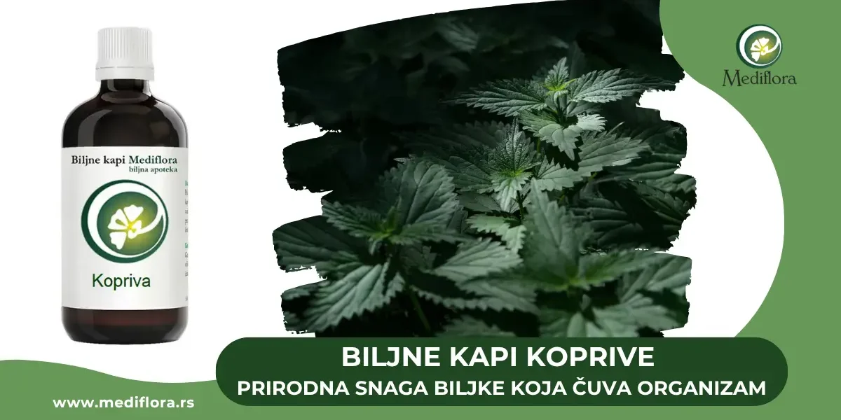 Biljne kapi Koprive – Prirodna podrška za krvnu sliku, detoksikaciju i zdravlje organizma