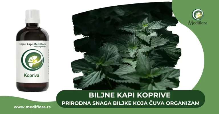 Biljne kapi Koprive – Prirodna podrška za krvnu sliku, detoksikaciju i zdravlje organizma