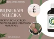 Problemi sa prostatom i mokraćnim putevima