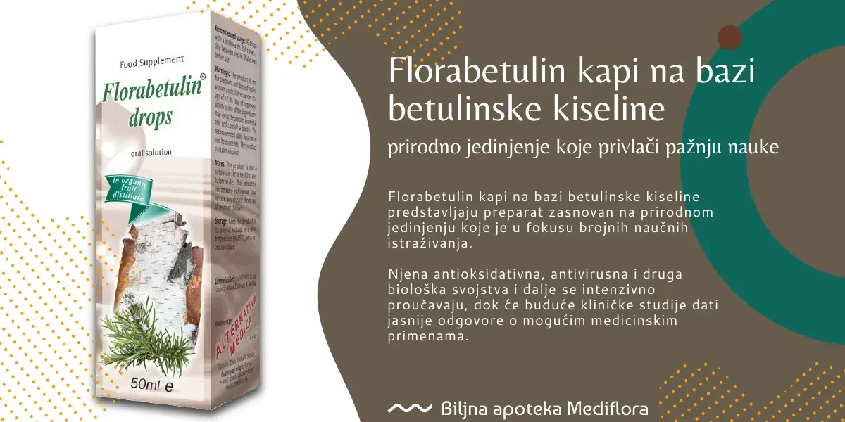 Florabetulin kapi na bazi betulinske kiseline – prirodno jedinjenje koje privlači pažnju nauke