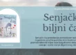 Senjački biljni čaj na prirodan način umiruje i ublažava grčeve