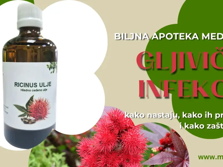 Gljivične infekcije – kako nastaju, kako ih prepoznati i kako zaštititi kožu