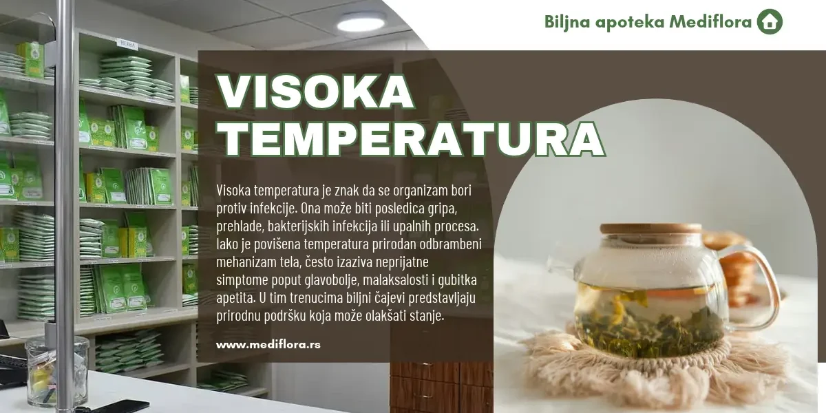 Visoka temperatura kako pomoći organizmu i koji čajevi mogu prijati Visoka temperatura: kako pomoći organizmu i koji čajevi mogu prijati
