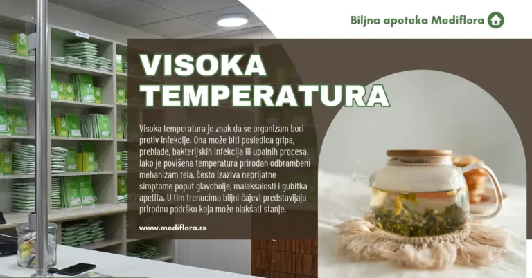 Visoka temperatura: kako pomoći organizmu i koji čajevi mogu prijati