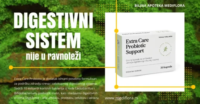 digestivni sistem nije u ravnoteži, ceo organizam to oseća