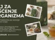 Čaj za čišćenje organizma