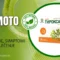 Hašimoto: kako nastaje, simptomi i prirodno lečenje