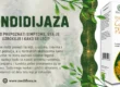 Kandidijaza: kako prepoznati simptome, šta je uzrokuje i kako se leči?
