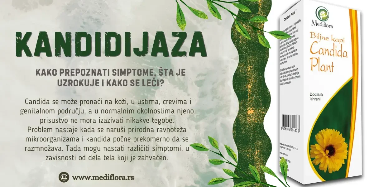 Kandidijaza: kako prepoznati simptome, šta je uzrokuje i kako se leči?