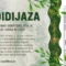 Kandidijaza: kako prepoznati simptome, šta je uzrokuje i kako se leči?