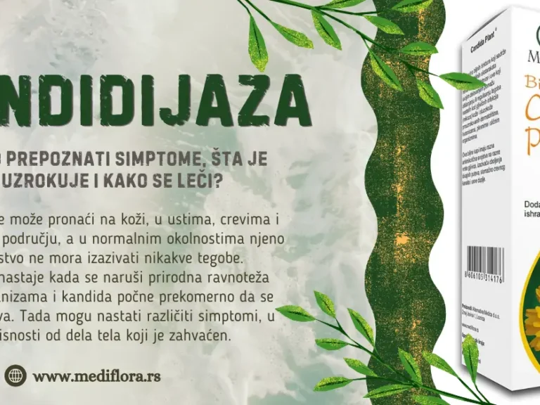 Kandidijaza: kako prepoznati simptome, šta je uzrokuje i kako se leči?