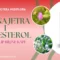 Masna jetra i holesterol - Floralip biljne kapi