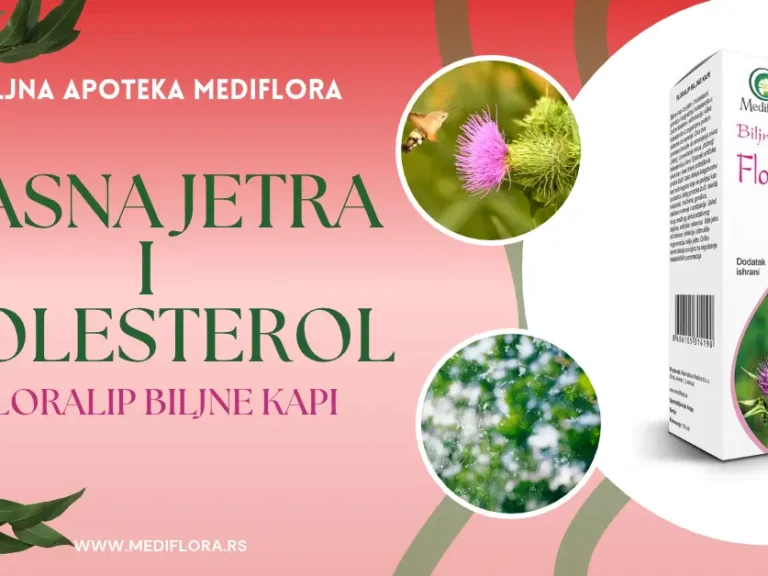 Masna jetra i holesterol - Floralip biljne kapi